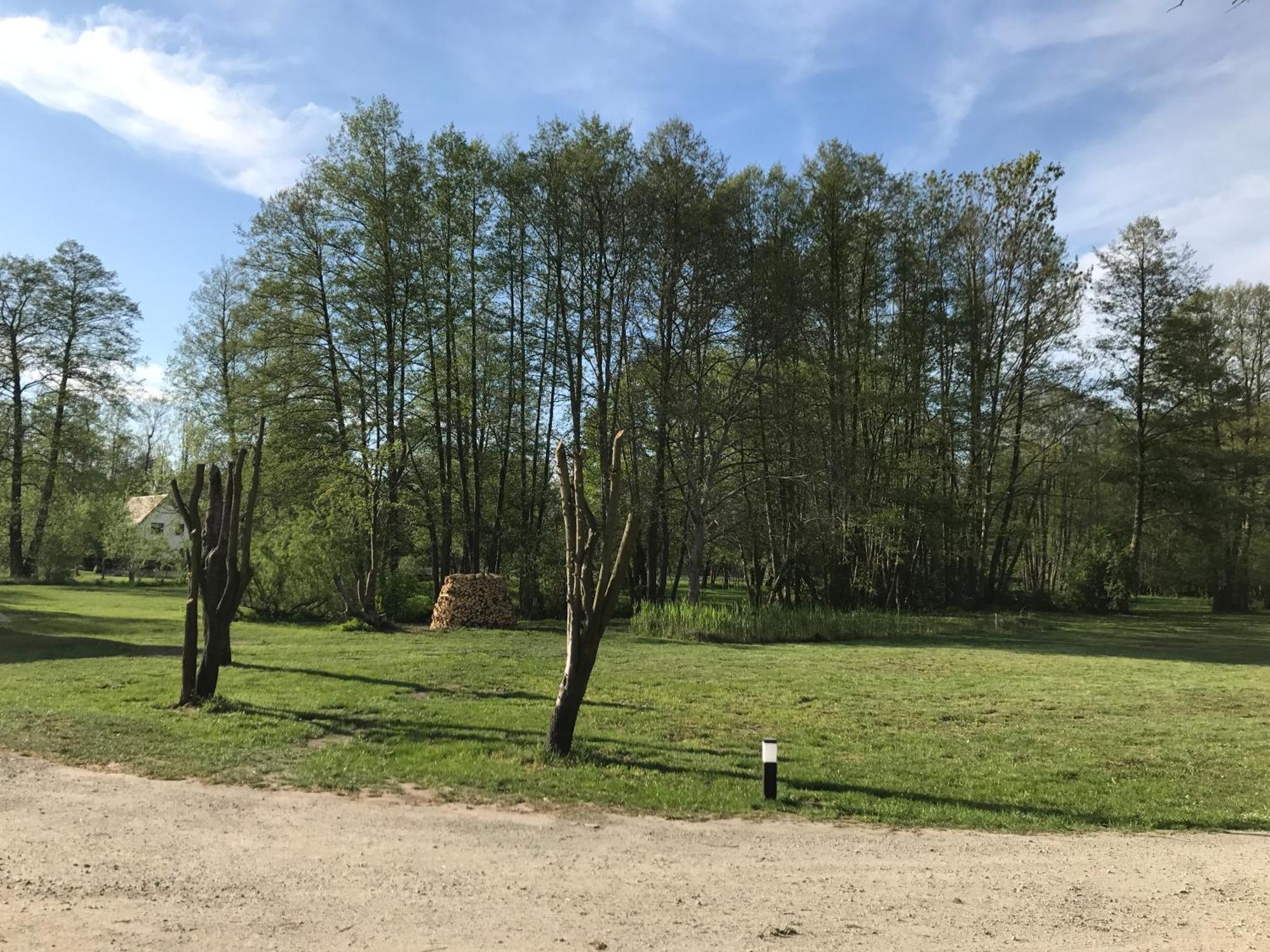 Sommersprosse Бург Номер фото
